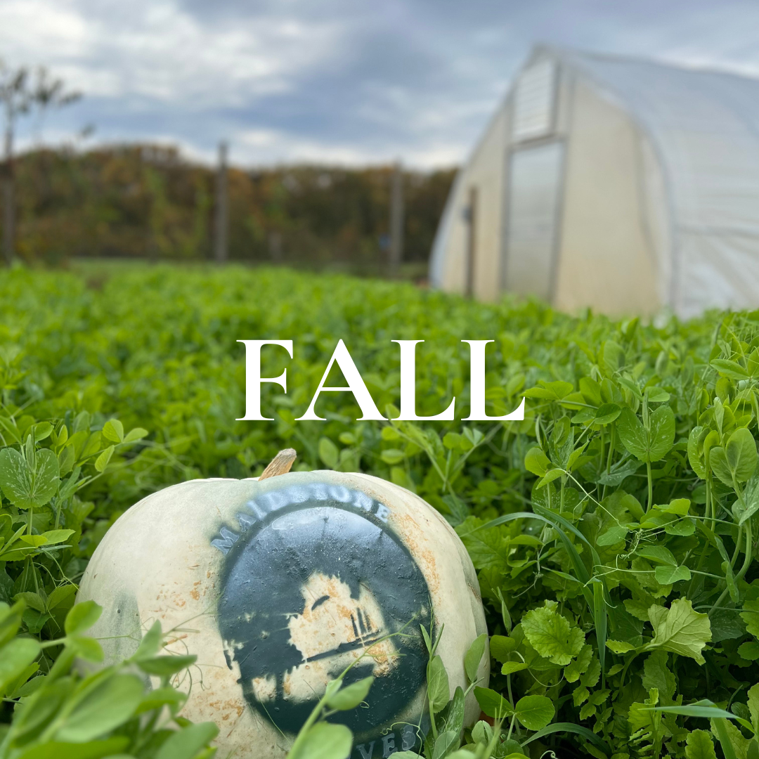 FALL