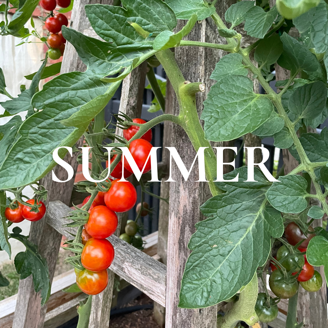 SUMMER