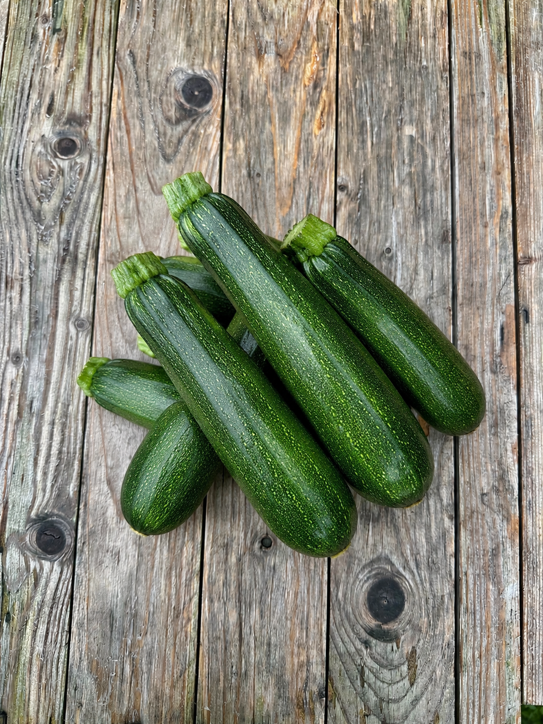 Green Zuccini