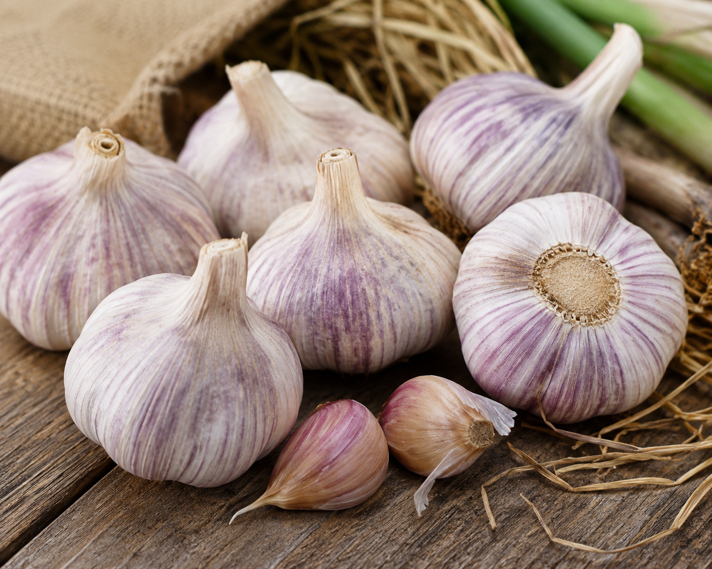 Inchelium Garlic (per pound)