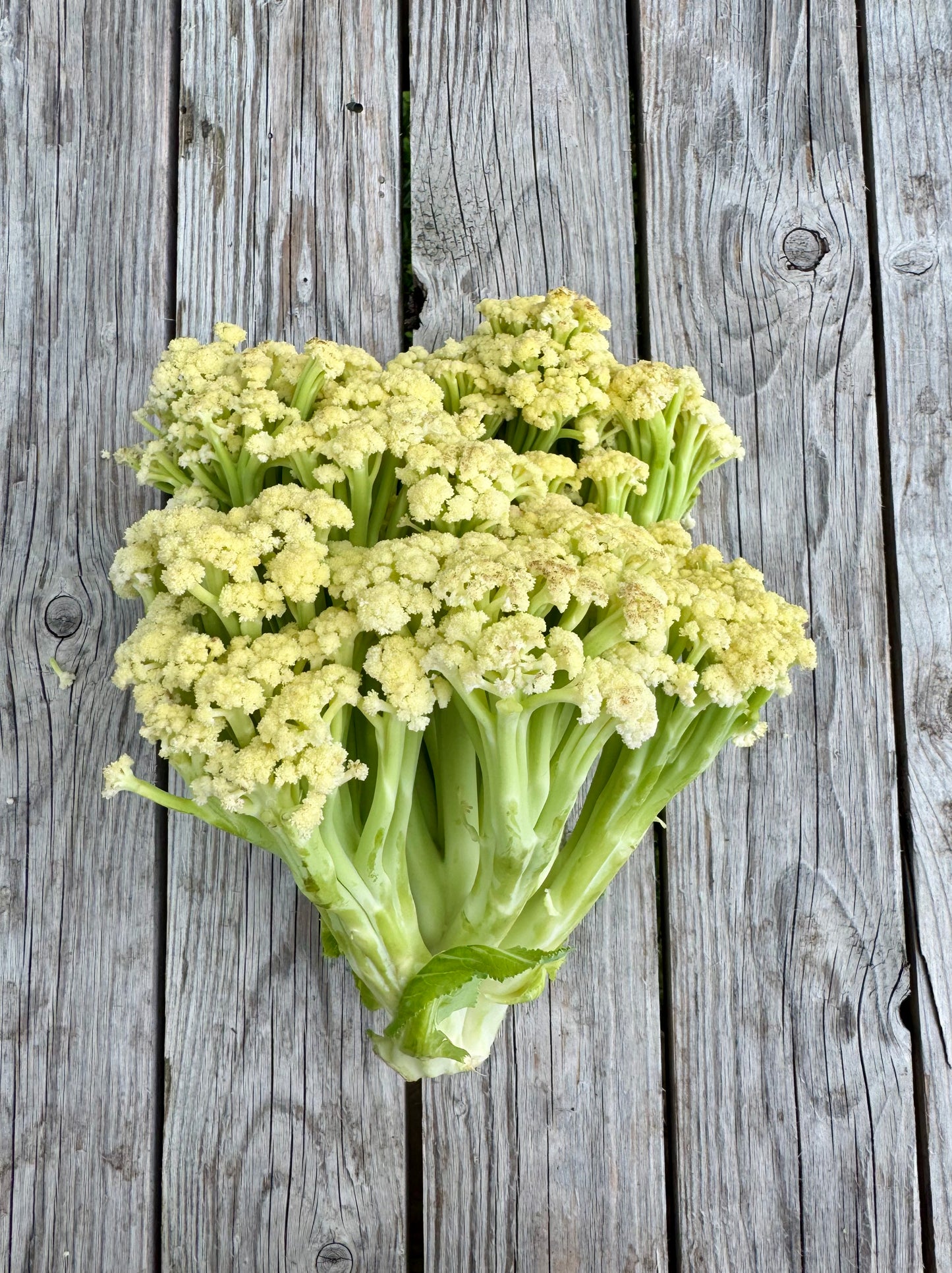 Fioretto Cauliflower