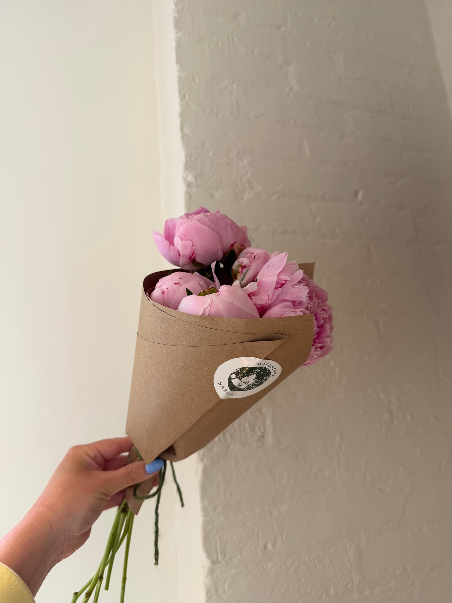 Peonies