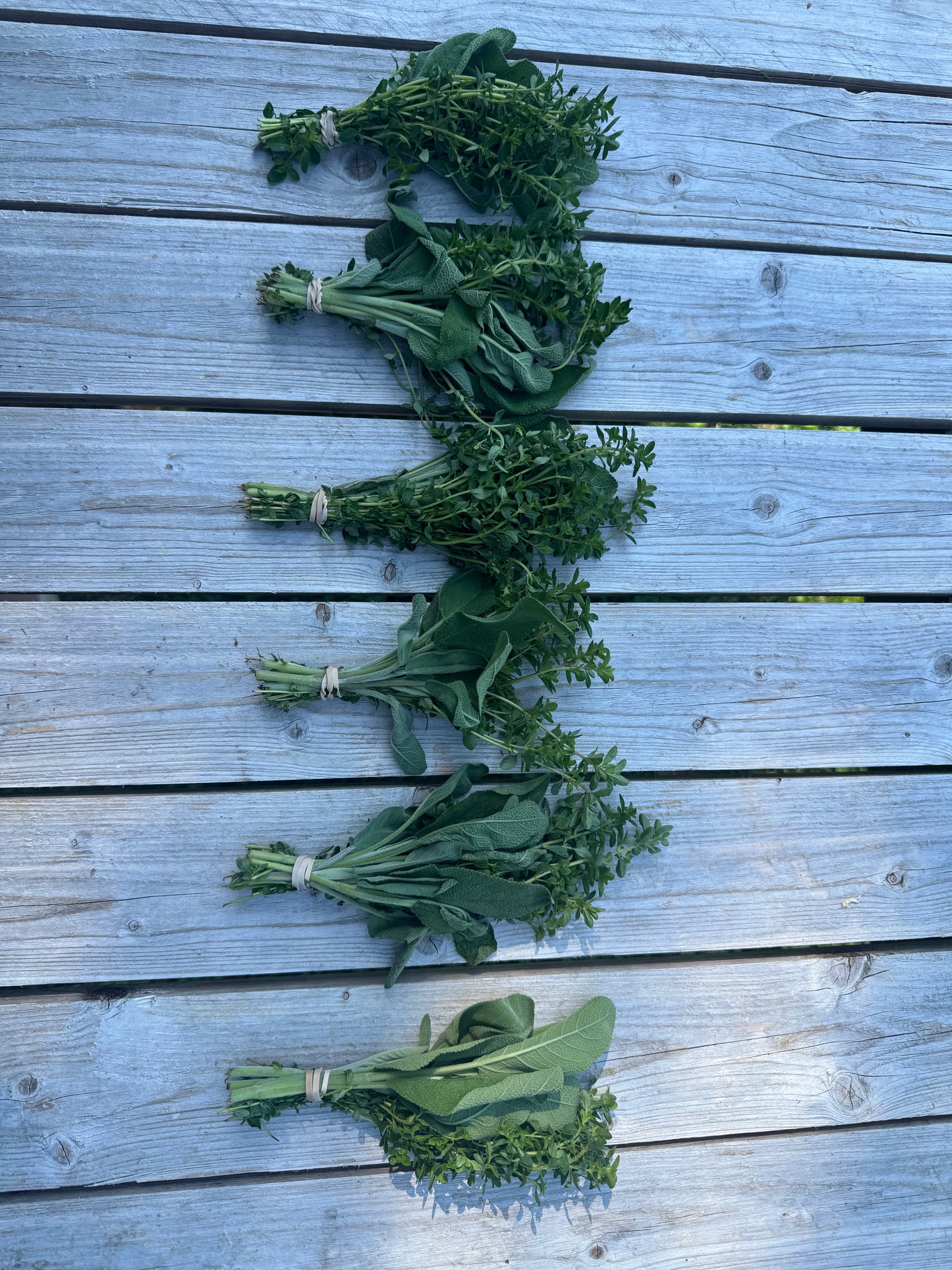 Herb Bundle (seasonal/weekly rotation)