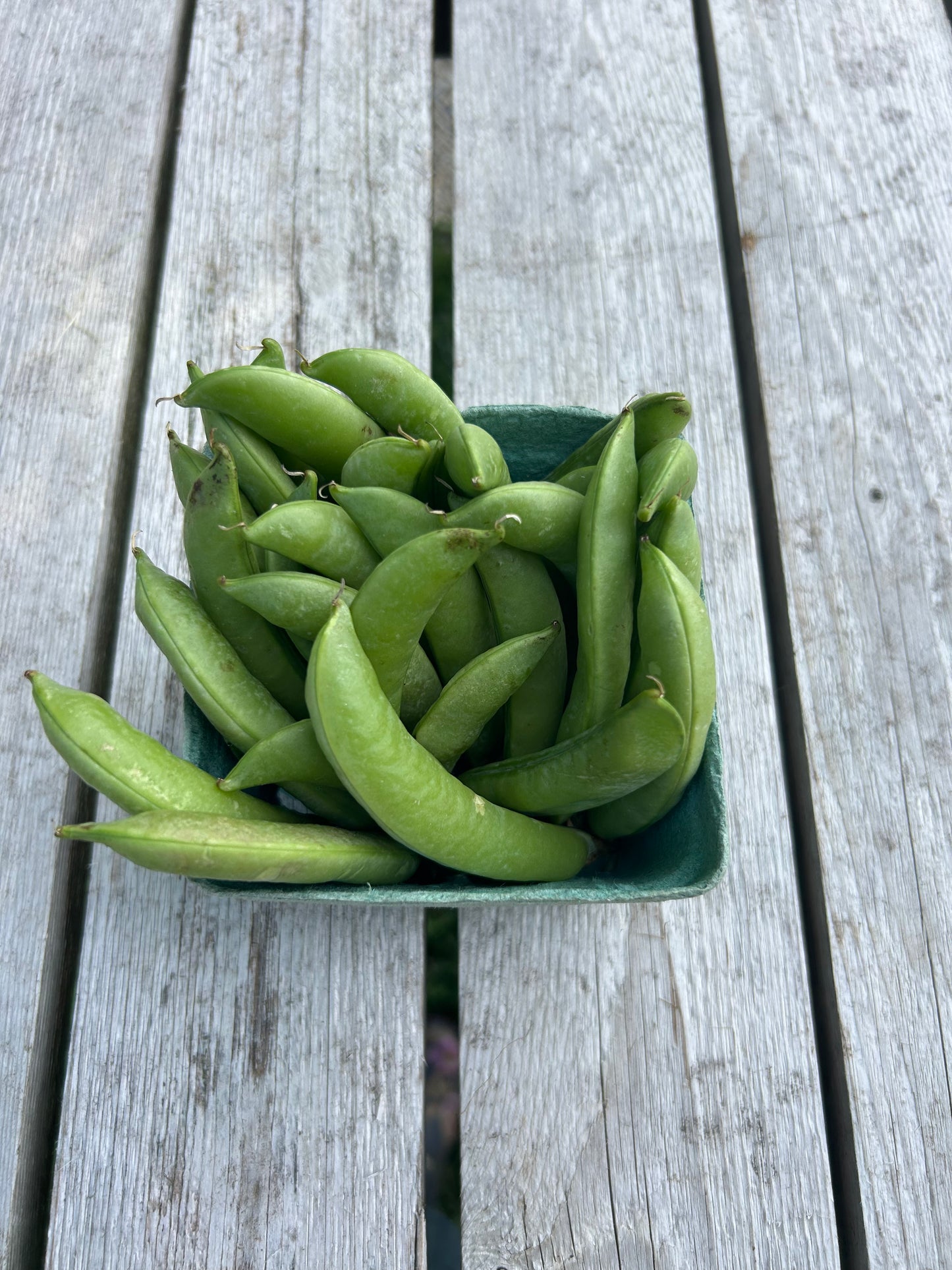 Sugar Snap Peas