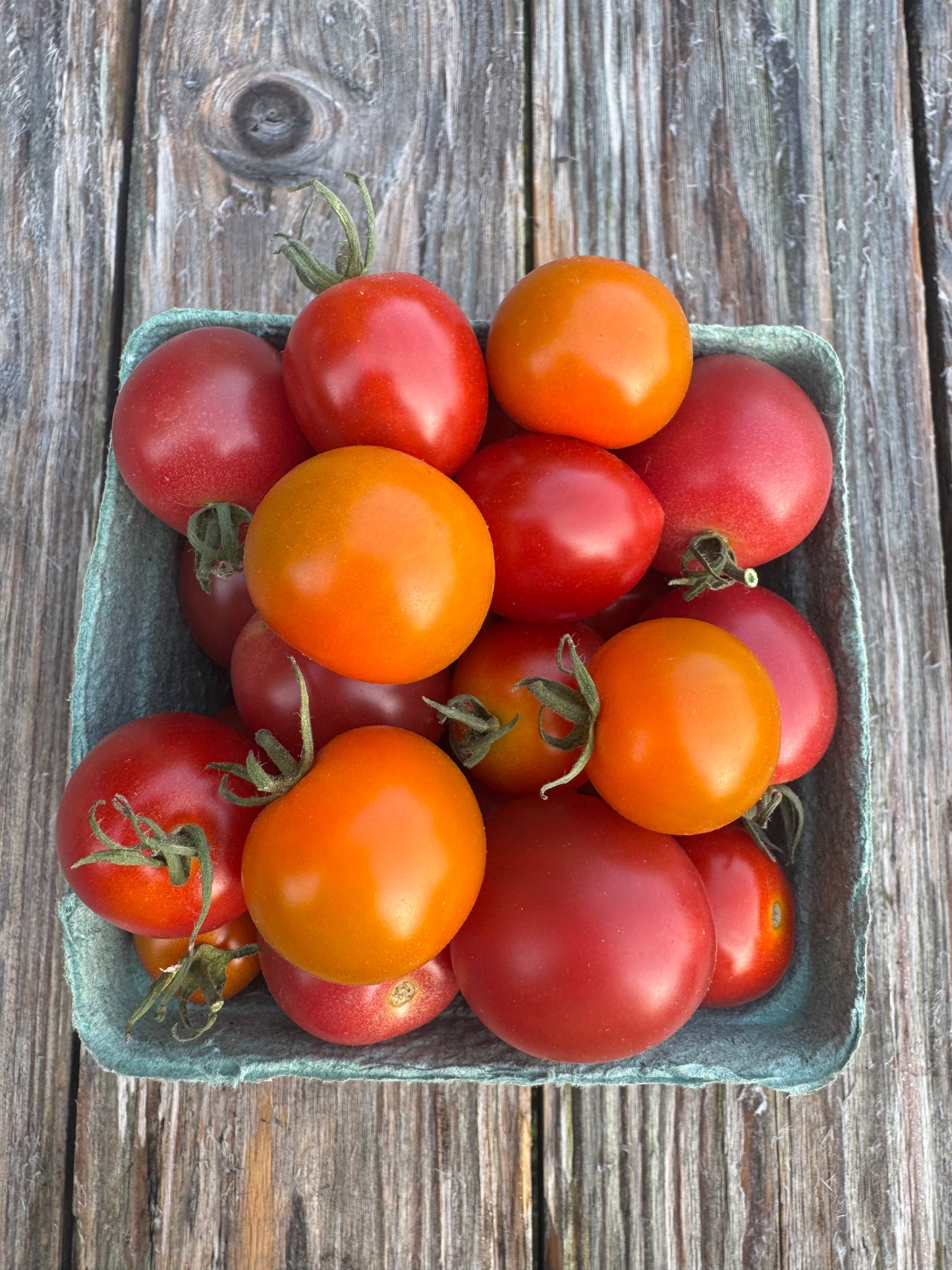 Cherry Tomatoes