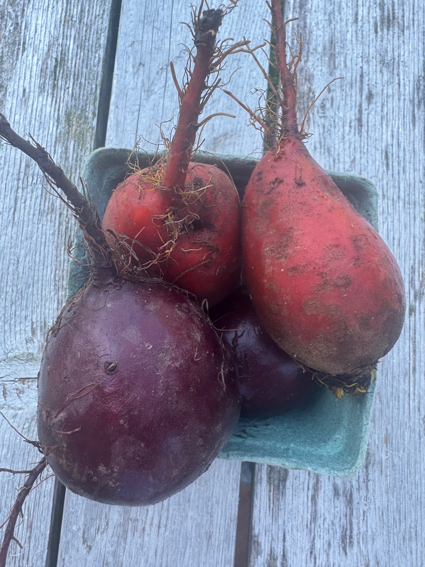 Mixed Beet Pints (per pint)