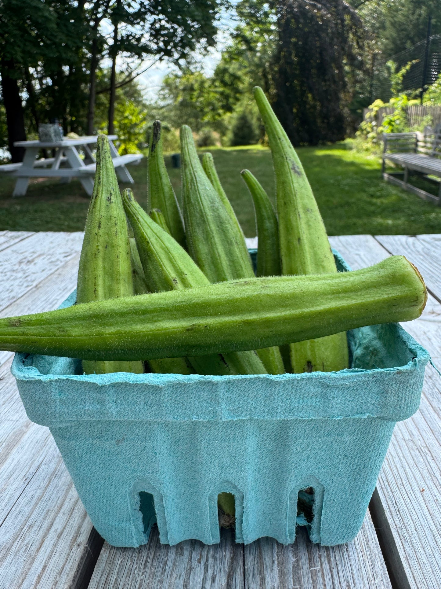 Okra Pints