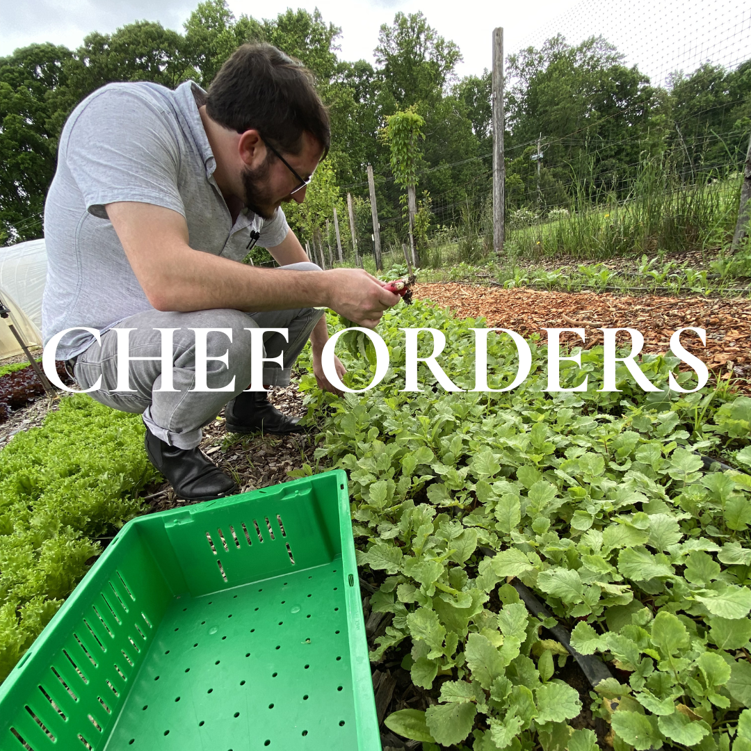 Chef Orders