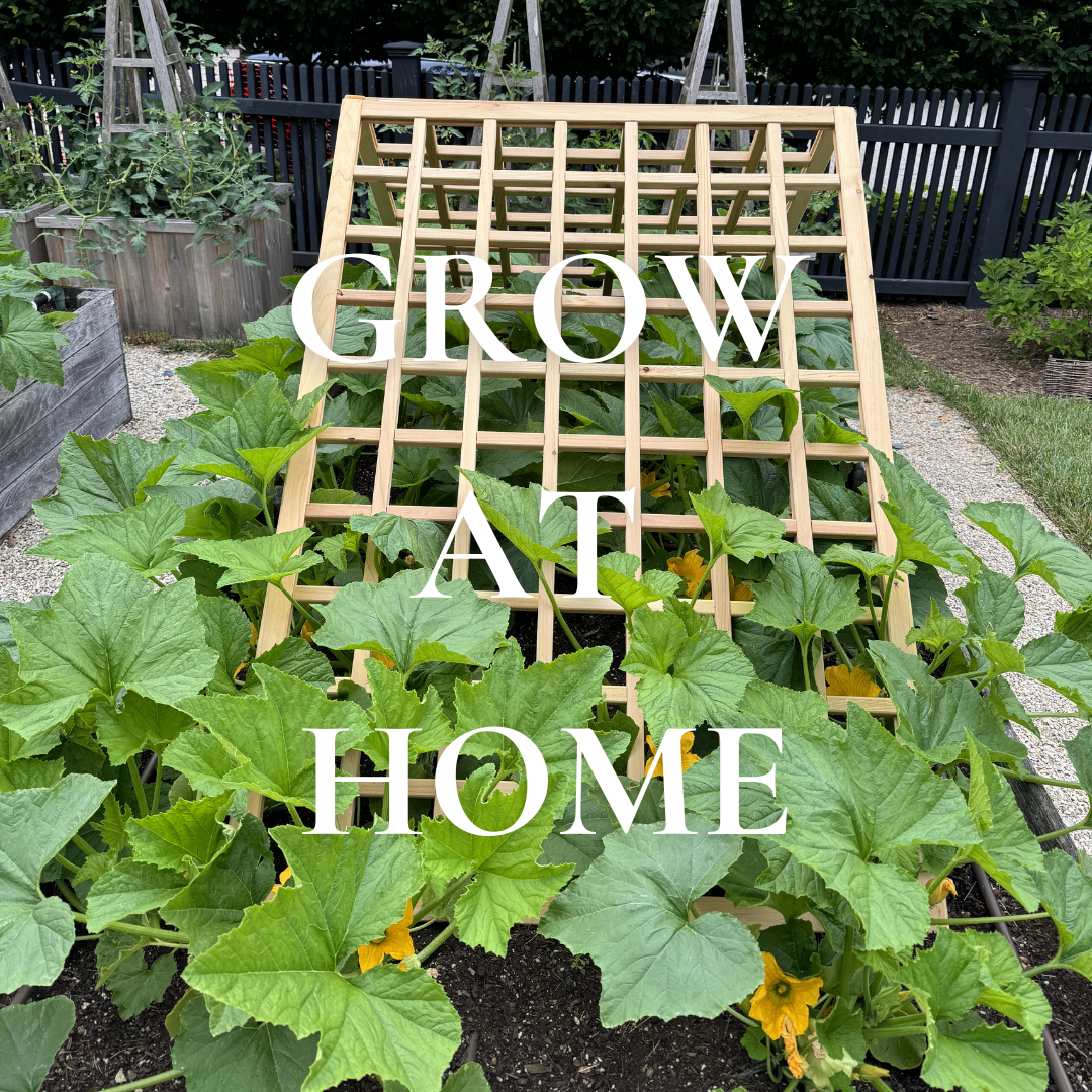 Grow at Home