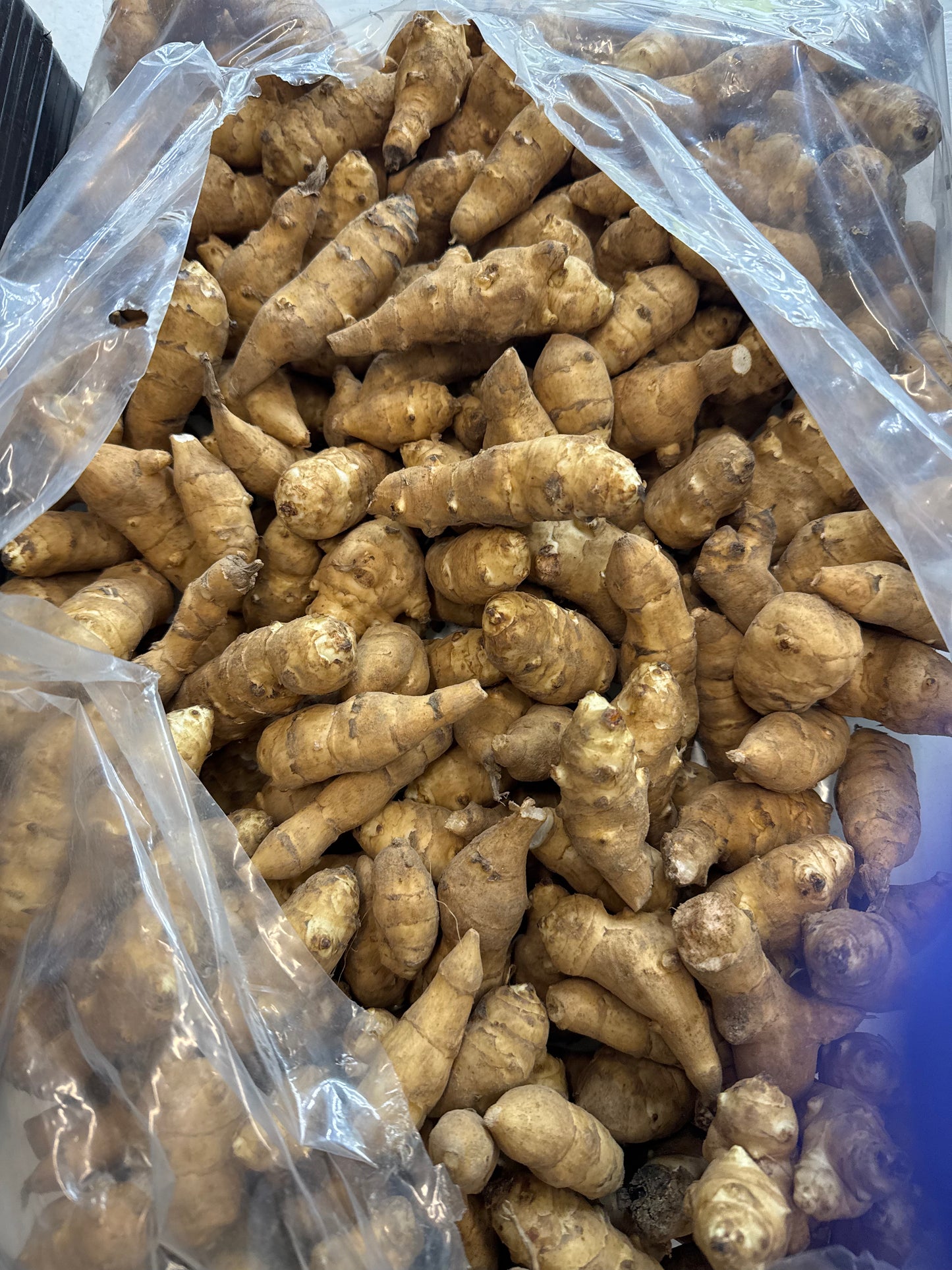 Sunchoke