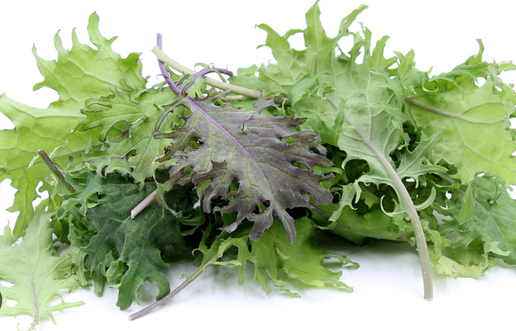 Baby Red Russian Kale 0.5 Lb