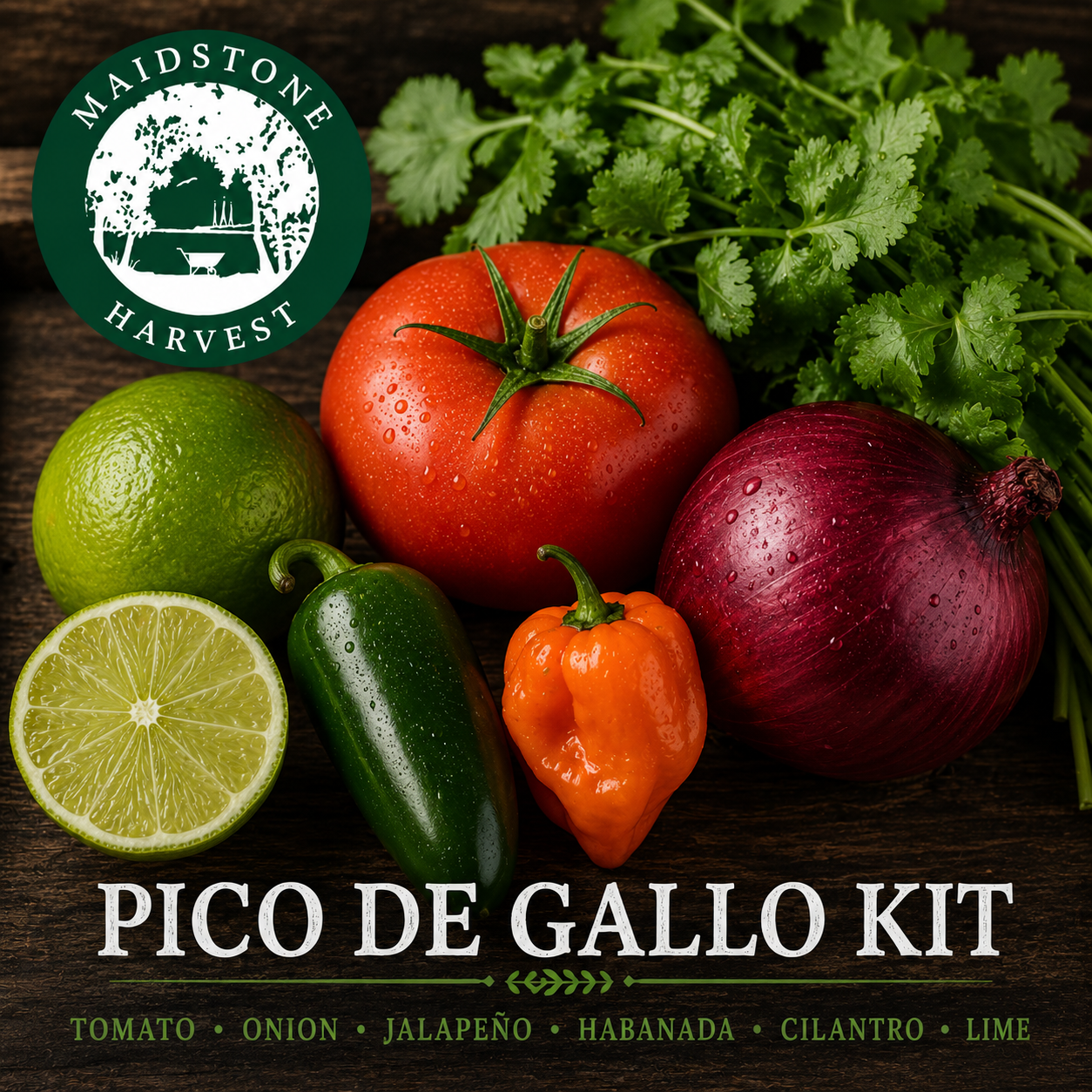 Pico De Gallo Bundle