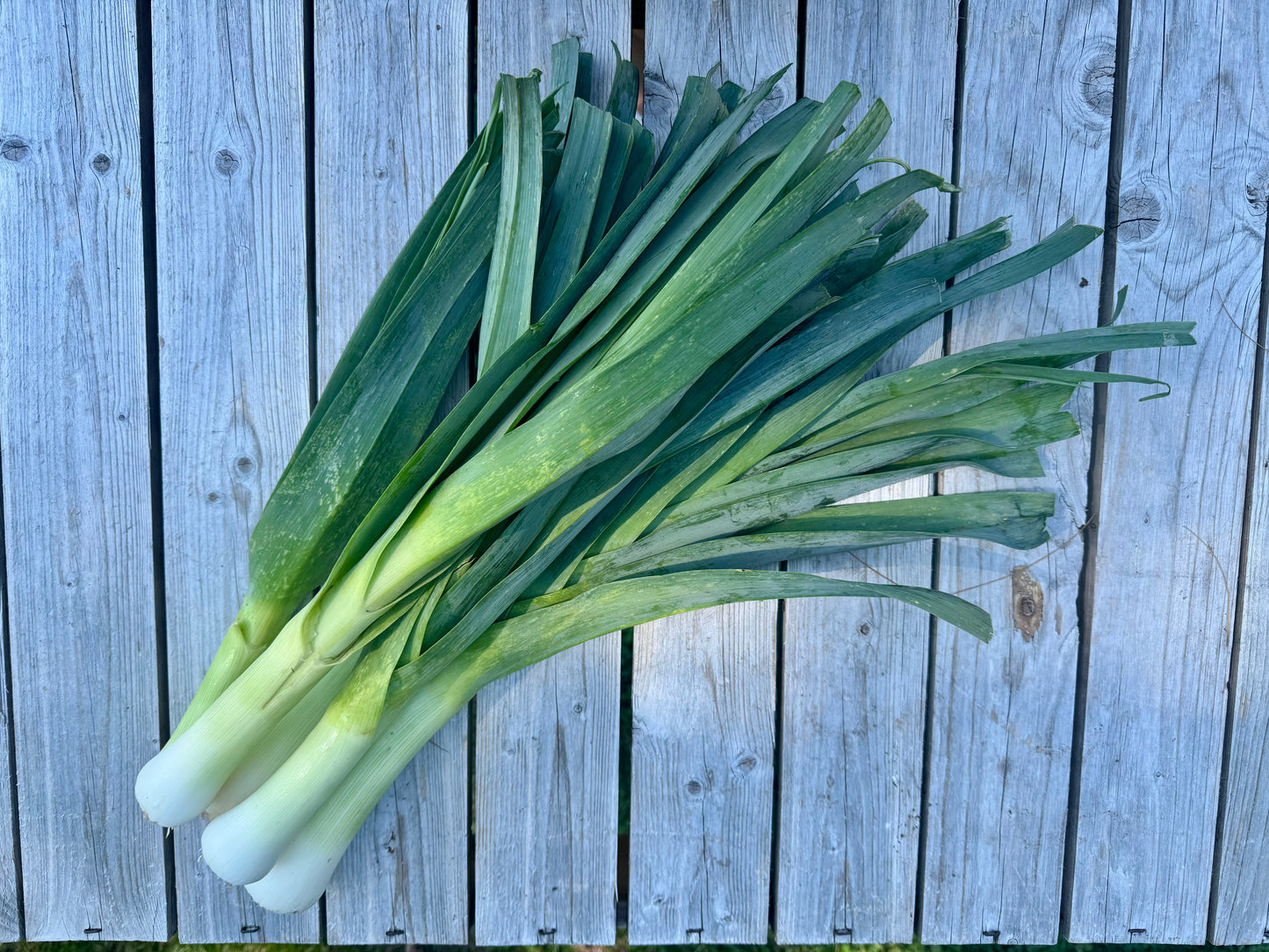 Leeks