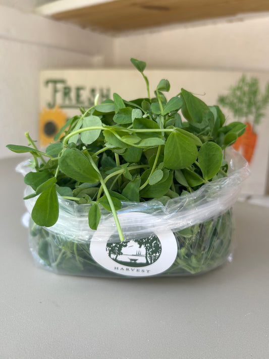 Pea Shoots, Speckled