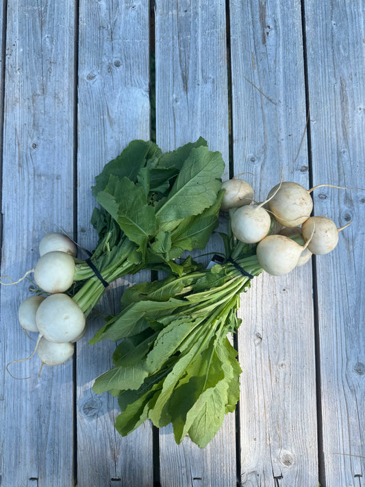 Baby Hukurei Turnips