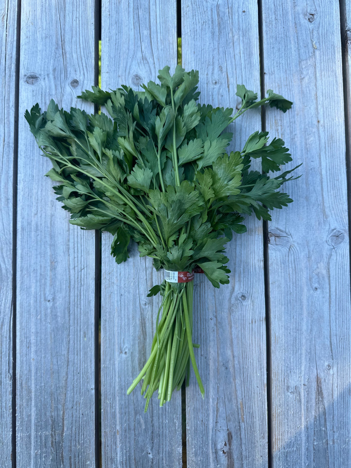 Italian Parsley (per bunch)