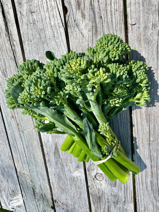 Broccolini