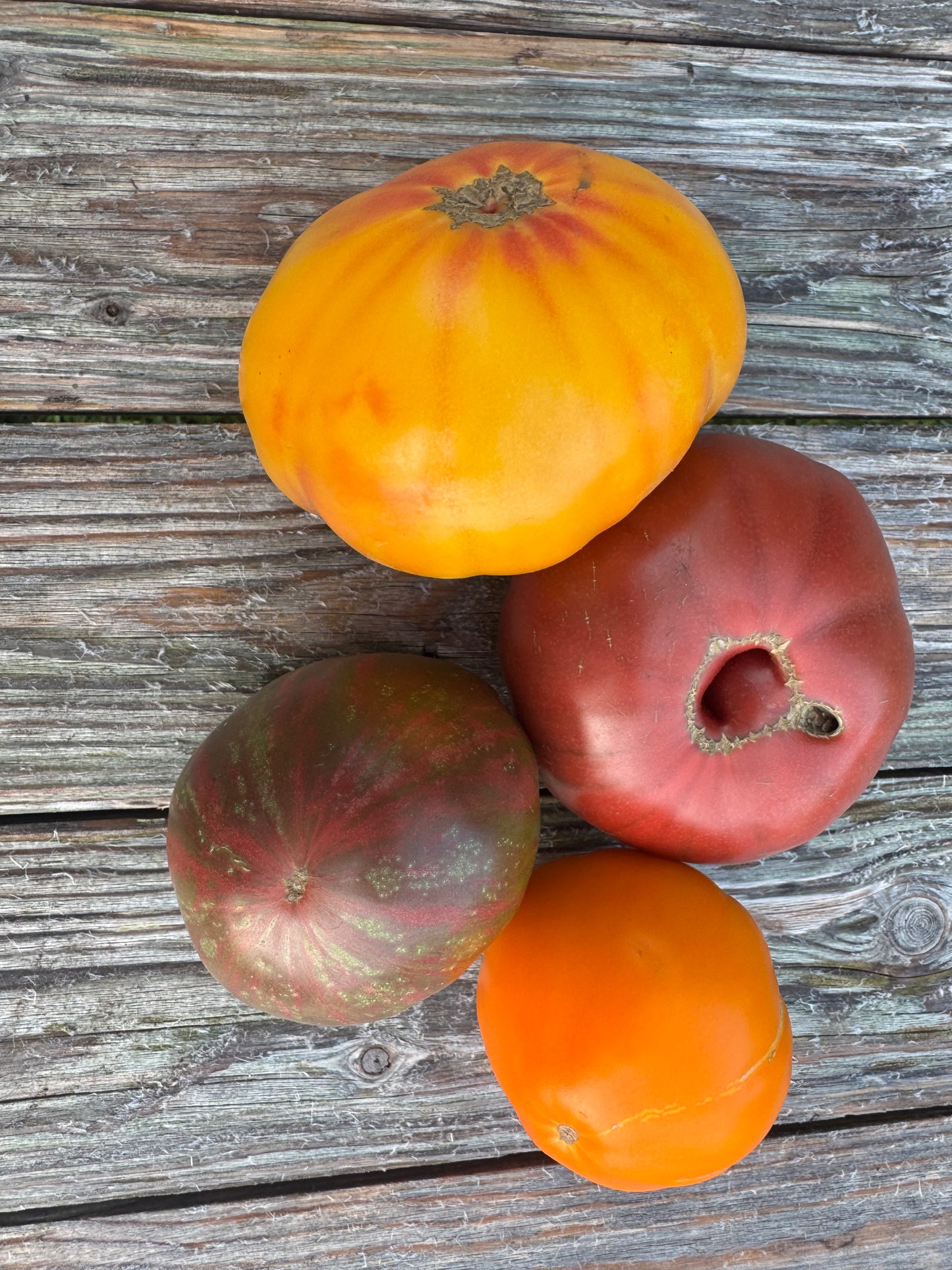 Tomatoes, Heirloom