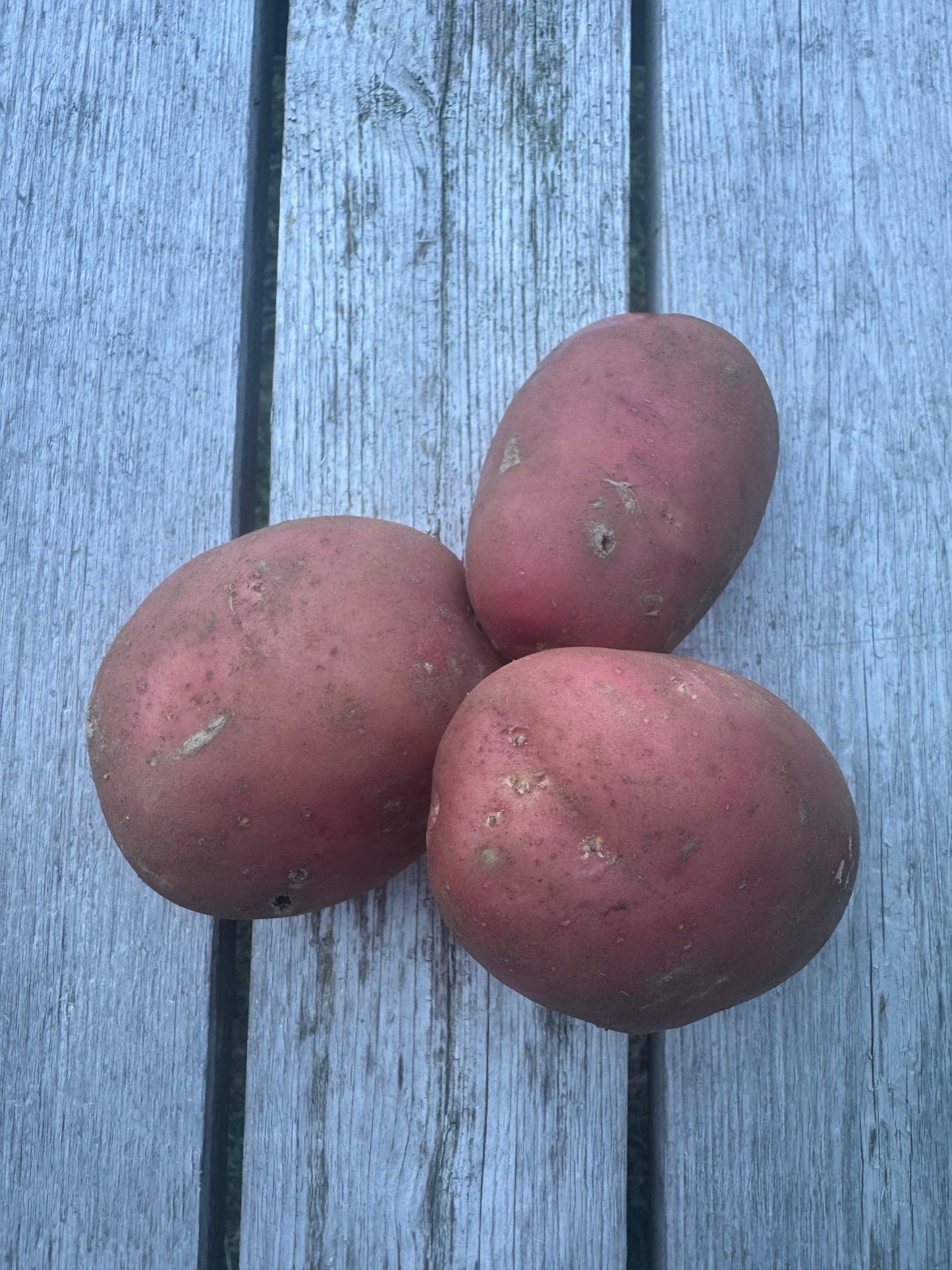 Baltic Rose Potatoes (per pound)