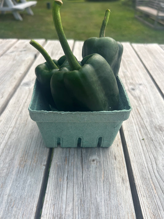 Poblano Peppers (per pint)