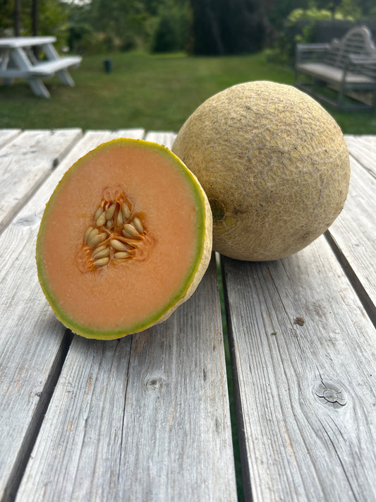 Sugar Cube Cantaloupe (per melon)
