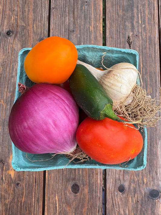 Salsa Kit (per kit)
