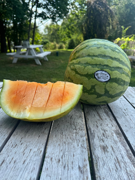 XL Orange Seedless Watermelon (each)