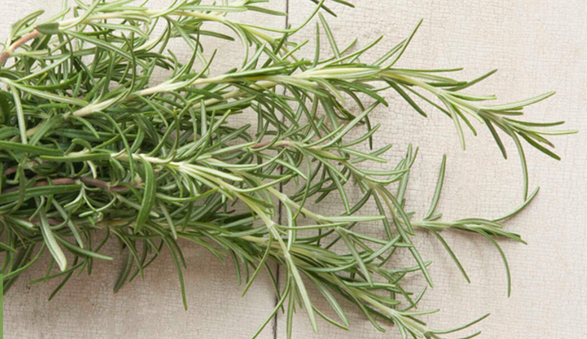 Rosemary