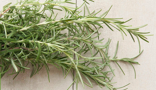 Rosemary 0.5 Lb