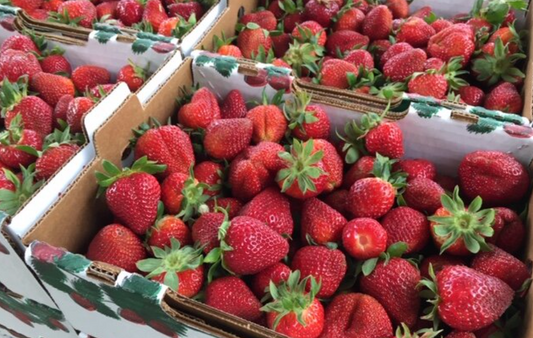 Ruby June Strawberries
